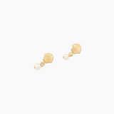 Shell Earrings