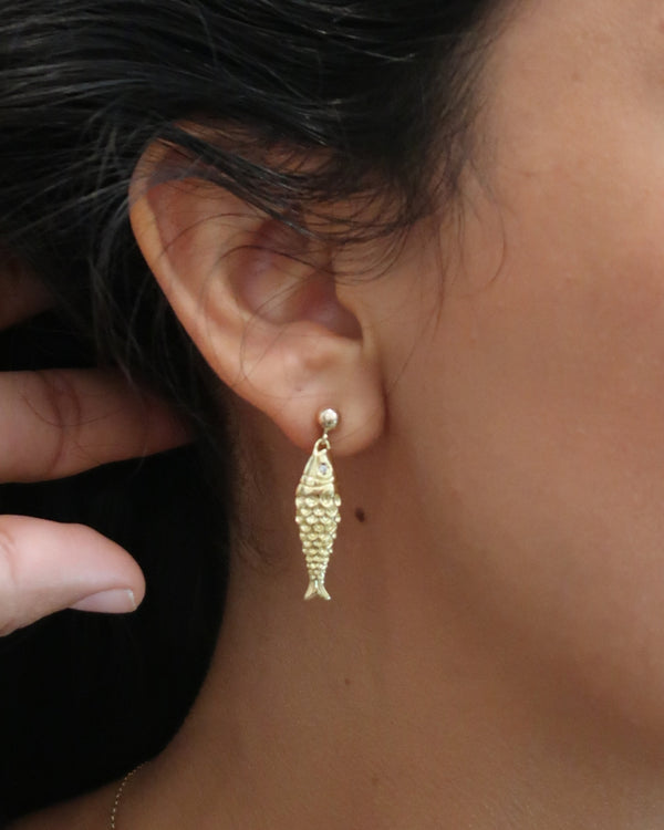 Sardine Studs