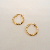 Amber Hoops